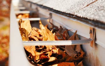 Provanmill gutter cleaning companies